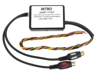 Intro AMP-TY01